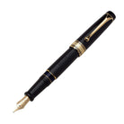 Aurora Optima Fountain Pen in Black - 14K Gold Extra Fine Point Fountain Pen