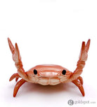 Crab Pen Holder in Orange Accessory