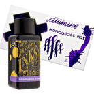 Diamine Bottled Ink in Monboddo’s Hat Bottled Ink