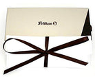Pelikan Classic Series P205 Fountain Pen in Black and Silver Fountain Pen