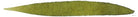 Graf von Faber-Castell Ink Cartridges in Olive Green - Pack of 6 Fountain Pen Cartridges