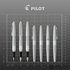 Pilot Metropolitan Fountain Pen in Silver - Medium Point Fountain Pen