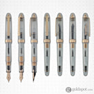 Platinum 3776 Century Fountain Pen in Nice Rose - 14K Gold Fountain Pen