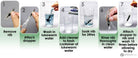 Platinum Accessories Fountain Pen Ink Cleaner Set Accessory