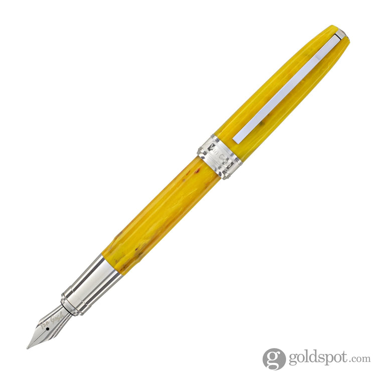 Visconti Van Gogh Fountain Pen in Sunflowers Fountain Pen