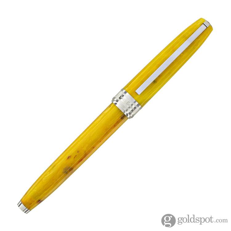 Visconti Van Gogh Fountain Pen in Sunflowers Fountain Pen