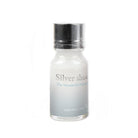 Wearingeul The Wonderful Wizard of Oz Literature Ink in Silver Shoes Glitter Potion - 30mL Bottled Ink
